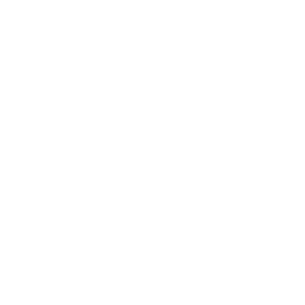 Magento Development